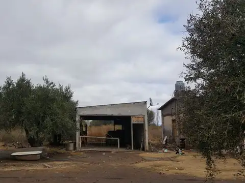Quinta en Venta en Los Claveles, San Rafael