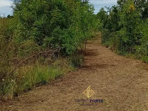 Terreno en Venta en Villa Ciudad de America, Santa María
