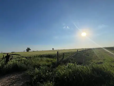 Campo en Venta en Presidente Roca, Castellanos