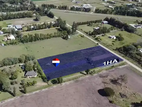 Terreno en Venta en Avellaneda, General Obligado
