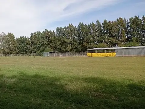 Campo en Venta en Los Cardales, Partido de Exaltación de la Cruz