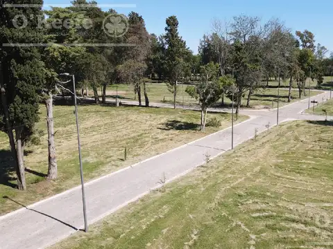 Terreno en Venta en Centro Agrícola el Pato, Partido de Berazategui