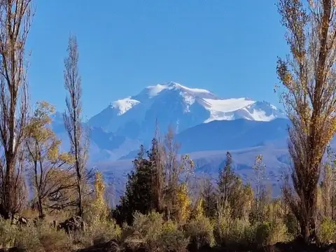 Terreno en Venta en Barreal, Calingasta