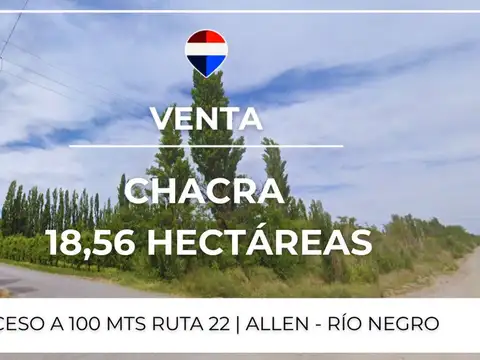 Campo en Venta en Allen, General Roca