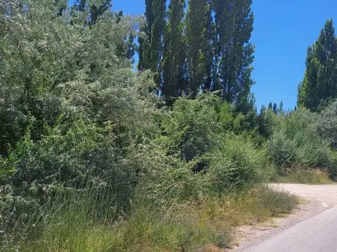Terreno en Venta en Cervantes, General Roca