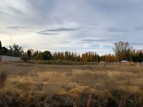 Terreno en Alquiler en Plottier, Confluencia