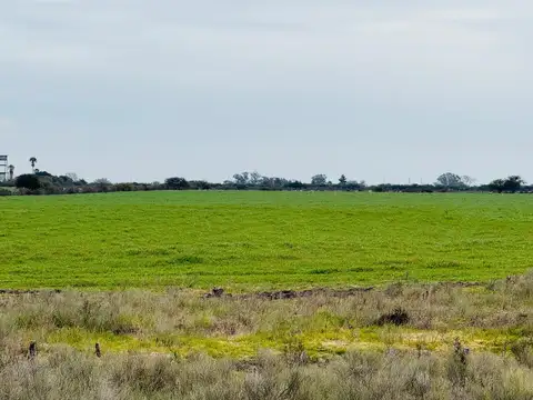 Campo en Venta en Gualeguaychu, Gualeguaychú