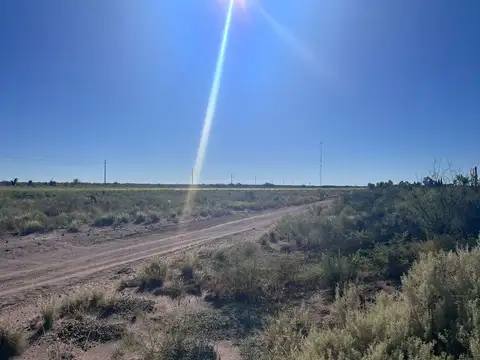 Campo en Venta en Santa Rosa, Mendoza