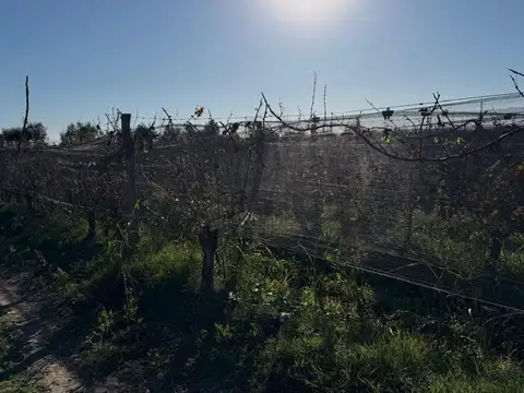 Campo en Venta en Ciudad de Junin, Junín