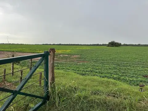 Campo en Venta en Río Primero, Córdoba