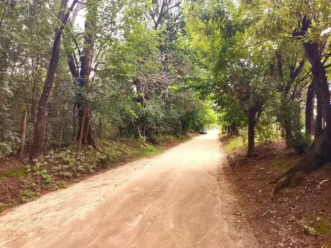 Terreno en Venta en Las Calles, San Alberto