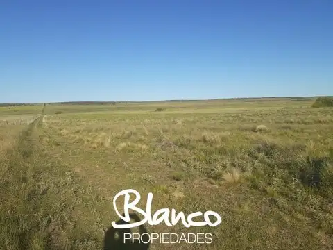 Casa en Venta en La Viticola, Partido de Bahía Blanca