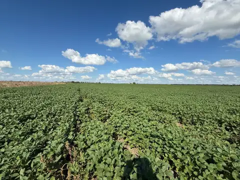 Campo en Venta en Esther, San Justo