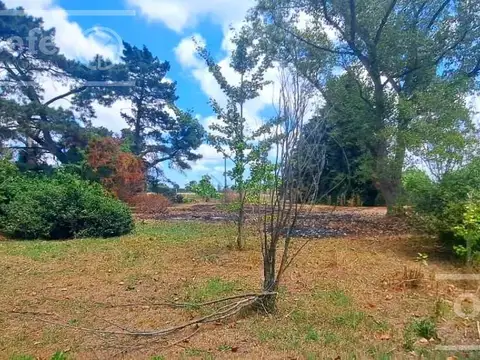 Casa en Venta en Centro Agrícola el Pato, Partido de Berazategui