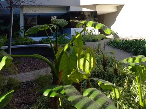 Departamento en Venta en Caballito, Capital Federal