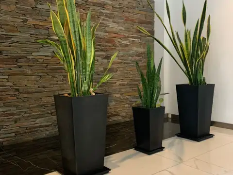 Departamento en Venta en Villa Luro, Capital Federal