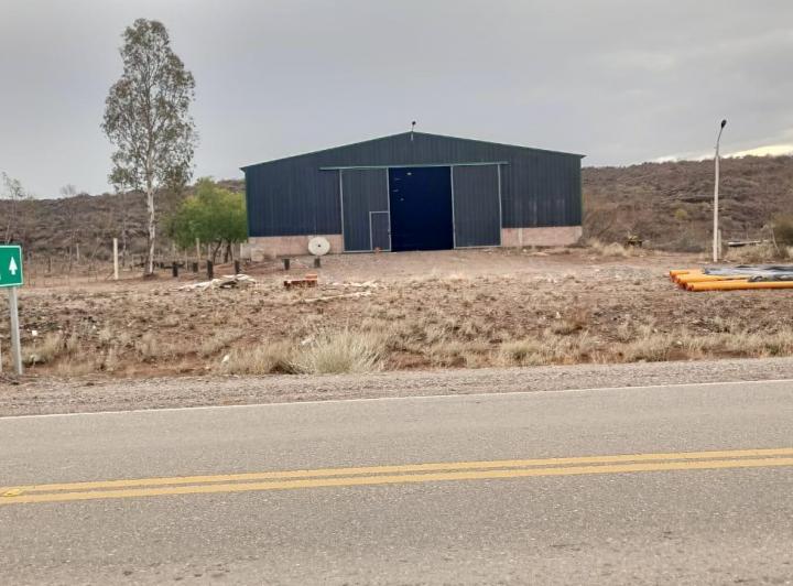 Bodega-Galpón