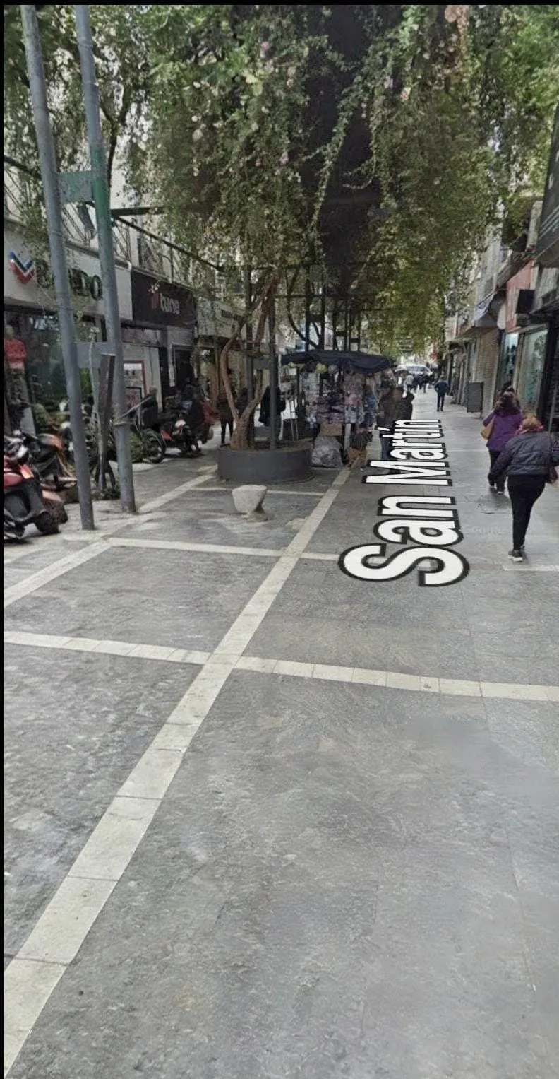 LOCAL COMERCIAL DE 140M2 CON DEPÓSITO EN PEATONAL SAN MARTIN 2 CUADRA