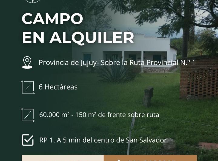 Campo · 250ha · 4 Ambientes