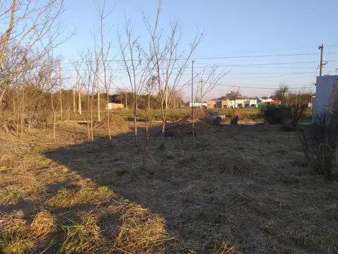 Terreno en Venta en Chascomus, Partido de Chascomús