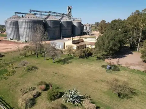 Terreno en Venta en Trenque Lauquen, Partido de Trenque Lauquen