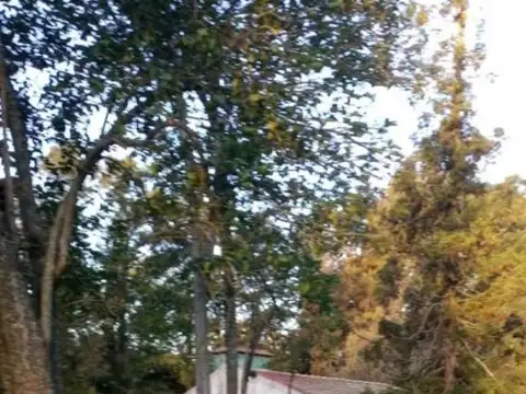 Terreno en Venta en Pilar Centro, Pilar