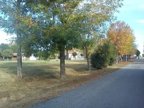 Terreno en Venta en Samborombon, Partido de Brandsen