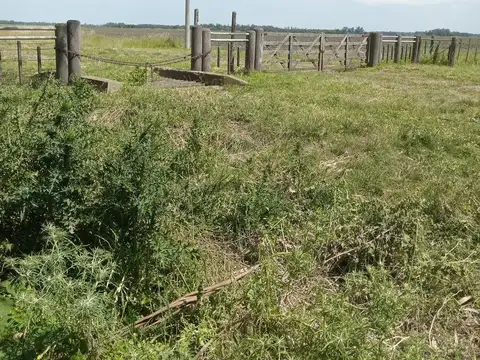 Terreno en Venta en Miramar, Partido de General Alvarado