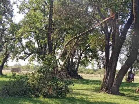 Terreno en Venta en Gonzalez Catan, Partido de La Matanza