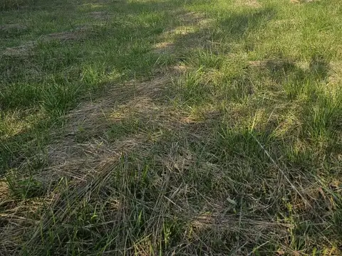 Terreno en Venta en Domselaar, Partido de San Vicente