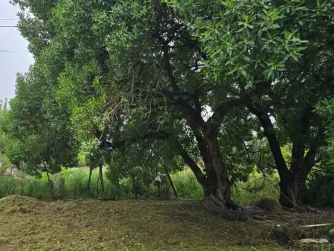 Terreno en Venta en Necochea, Partido de Necochea