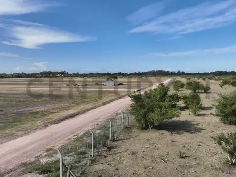 Terreno en Venta en Berisso, Partido de Berisso