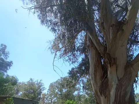 Terreno en Venta en Miramar, Partido de General Alvarado