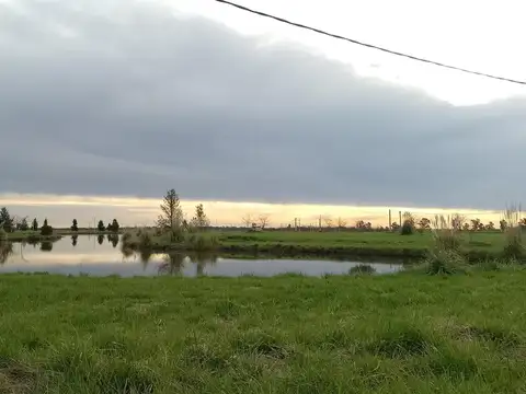 Terreno en Venta en Coronel Brandsen, Partido de Brandsen