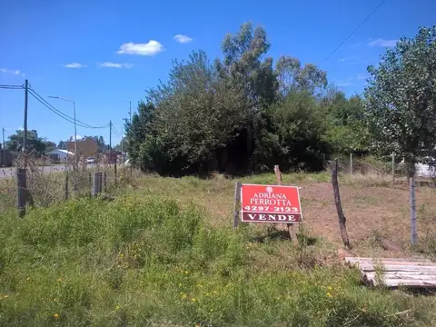 Terreno en Venta en Villa Numancia, Partido de Presidente Perón