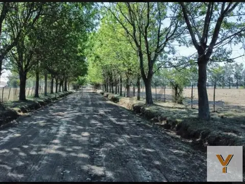 Terreno en Venta en Abasto, Partido de La Plata
