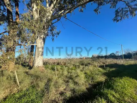 Terreno en Venta en Villa Parque Sicardi, Partido de La Plata