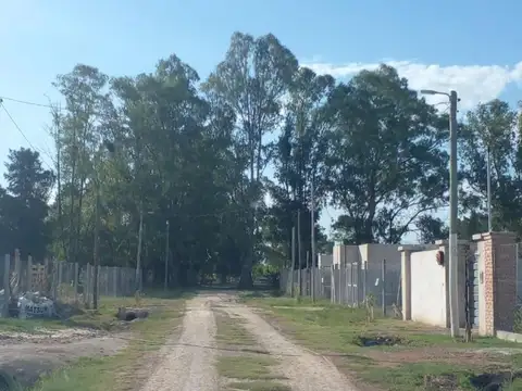 Terreno en Venta en Domselaar, Partido de San Vicente