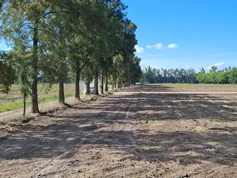 Terreno en Venta en Zarate, Partido de Zárate