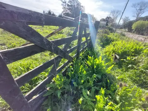 Terreno en Venta en Parque Peña, Mar del Plata