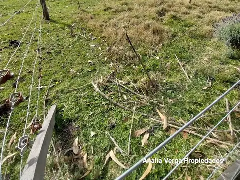Terreno en Venta en Miramar, Partido de General Alvarado