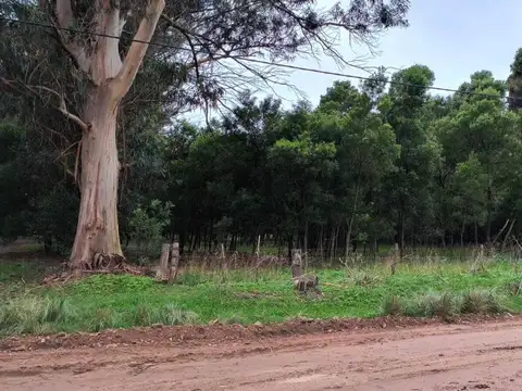 Terreno en Venta en Miramar, Partido de General Alvarado