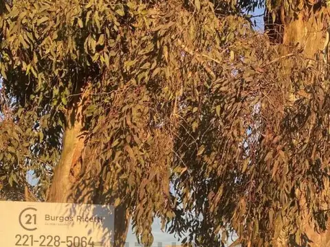 Terreno en Venta en La Plata, Partido de La Plata