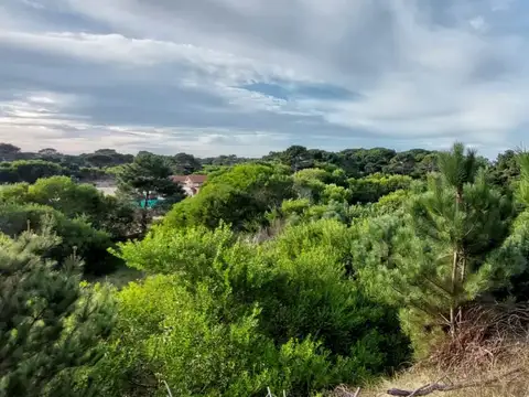 Terreno en Venta en Paso Mayor, Partido de Coronel de Marina Leonardo Rosales