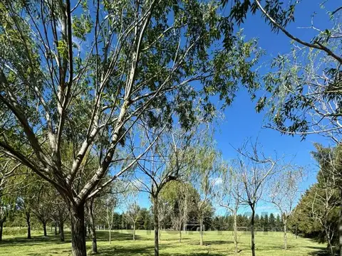 Terreno en Venta en Coronel Brandsen, Partido de Brandsen