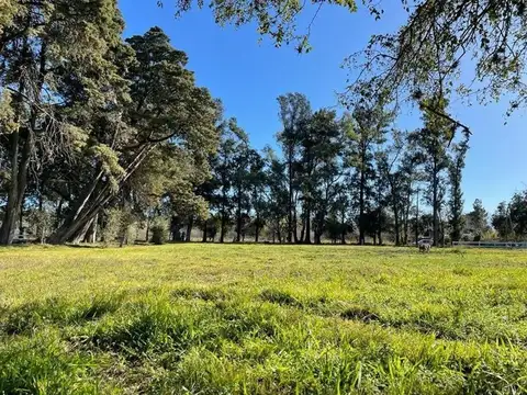 Terreno en Venta en General Rodriguez, Partido de General Rodríguez