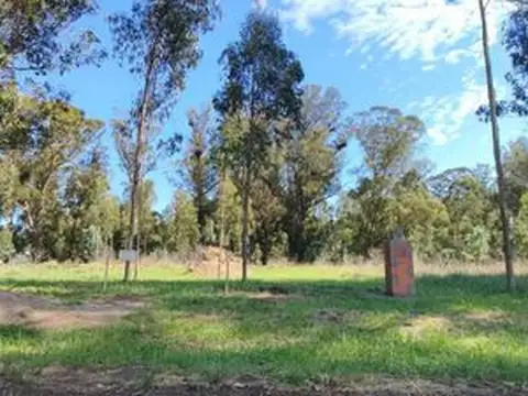 Terreno en Venta en Miramar, Partido de General Alvarado