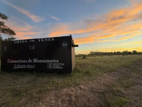 Terreno en Venta en Estacion, Manzanares