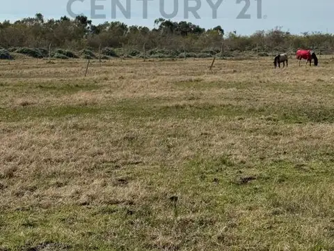 Terreno en Venta en City Bell, Partido de La Plata