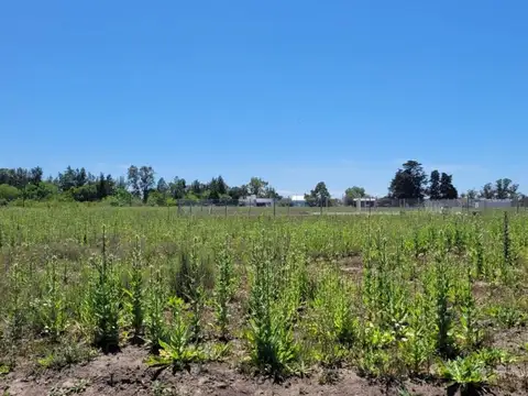 Terreno en Venta en Villa Parque Sicardi, Partido de La Plata
